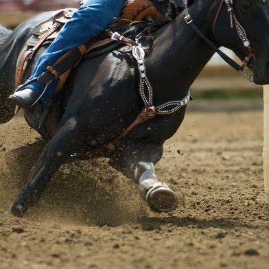 When barrel race Businesses Grow Too Quickly