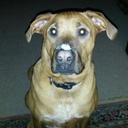 Malcolm Bivens - @BivensMalcolm - Twitter