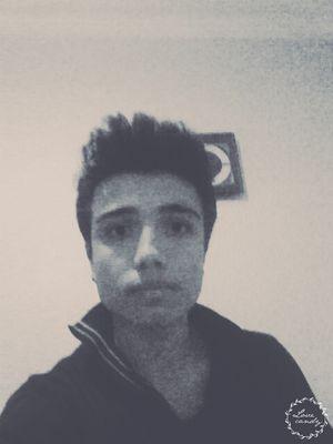 Reddio