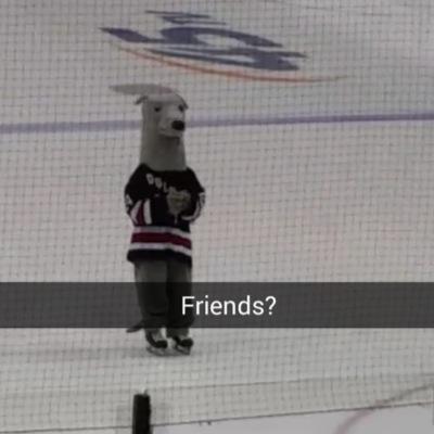 GregoryGryhound's profile picture. On the prowl for lady greyhounds