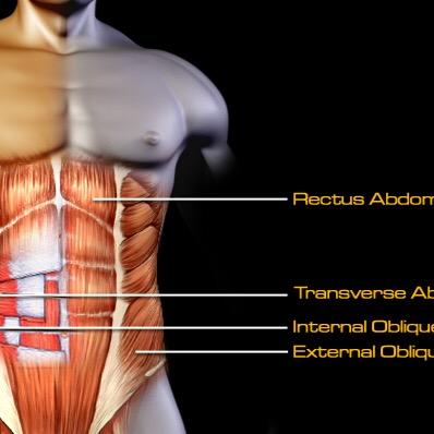 Abs are built in the textbook. Coming Soon.