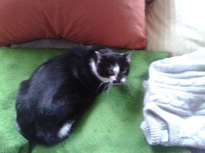 E363Www's profile picture. 