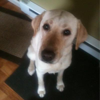 bbax7's profile picture. 