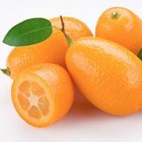 A 100% organic, bio-dynamic grove specializing in kumquats, persimmons, citrus and herbs located 50 minutes from downtown San Diego. (Also known as Beck Grove.)