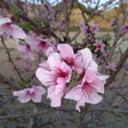 Manolo Pérez - @mperezcie - Twitter