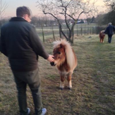 BasSmeets's profile picture. 