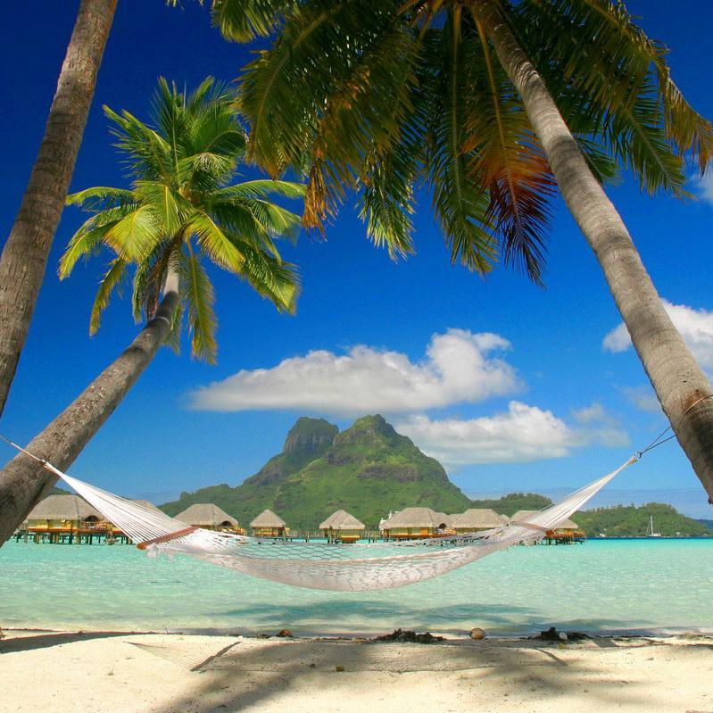 Independent Travel Agent with Goldrush Getaways and part of the Ensemble Travel Group-[Email info@btrns.net if interested in booking travel]