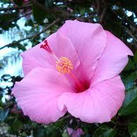 FlorenceVerr's profile picture. 