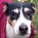 Beth Rogers - @bethrog80 - Twitter