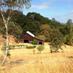 Capo Creek Winery (@capocreekranch) Twitter profile photo
