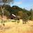 CapoCreekRanch's profile image