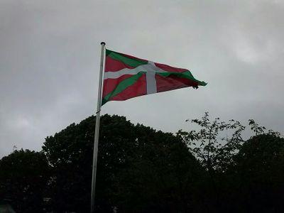 airisjavi's profile picture. 