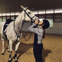 Eventing Queen© (@queeneventing) 's Twitter Profile