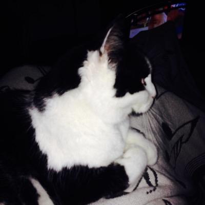 menzelchr's profile picture. 