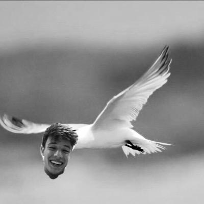 who is cameron dallas really? idk i cant even define myself