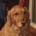 Jim DeBenedictis (@debenedictisjim) Twitter profile photo Jim DeBenedictis (@debenedictisjim) Twitter profile photo