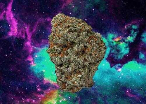 Daily tips that are helpful for the high school smoker and the long time toker!                             Fat J Enthusiast :: Account since 3/9/15