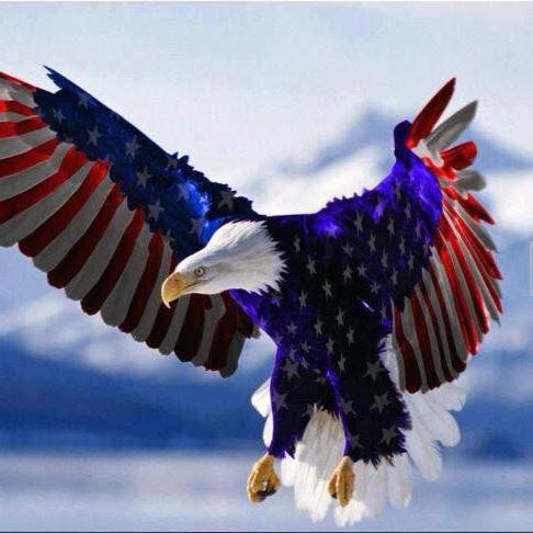 CrAzYAmErIcAn01's profile picture. SERIOUS USA SERIAL ENTREPRENEUR LIVING IN SWEDEN=Will Add 1 New Lo-Cost Biz/Month 2 EastCo Global Using OPM. See Jim-Barbour LinkedIn Bio= Updated frequently!