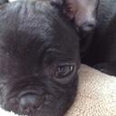 Chris Cade - @zSkateRuinz - Twitter