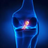 ACL Recovery Club(@ACLrecoveryCLUB) 's Twitter Profile Photo