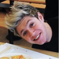 hi love i gave you a free follow from my main account @niallnthings and itd mean the world if youd follow me on there