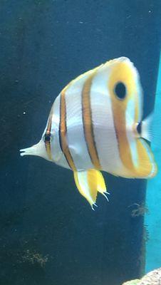 Sw10001110101's profile picture. 