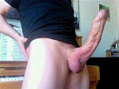 alejand11801025's profile picture. 