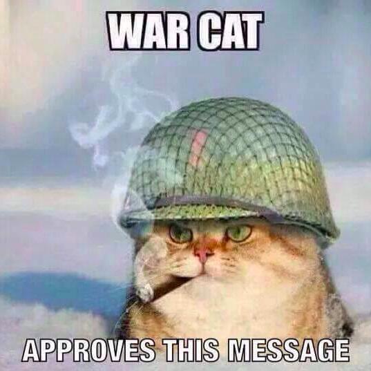 kDCdub26's profile picture. I'm just here to follow the news... and watch animal videos