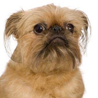 PoisonFarts's profile picture. 