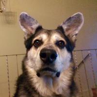 Wet Coast Life (@wetcoastlife) 's Twitter Profile