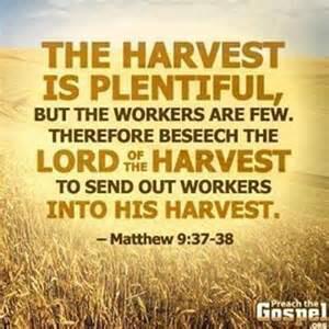 Spreading HIS WORD with Humorous “Simple Seeds” is ALL We need to do & the HOLY SPIRIT does the rest. Non-Believers do NOT like “Religious Stuff” They do like*