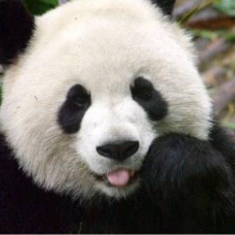 Yansonews's profile picture. The Latest Technology News And Informations