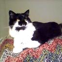 Cathy Strauss - @Circle_up - Twitter