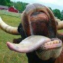 InstinctHerbell's profile picture. ONLY Gt: Instinct Herbel