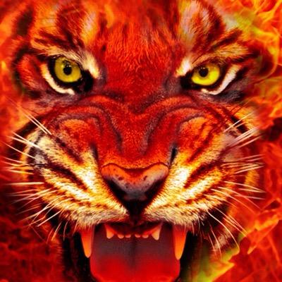 antoniuk53's profile picture. 