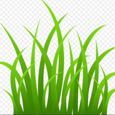 ChevyLawnCare's profile picture. A team of three Gonzaga college high school students, We offer high quality lawn services at low costs. Serving the Greater Chevy Chase Area since 2013.