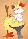 a pretty braxien level: 20 item: everstone *owner in lists*