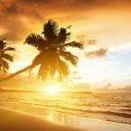 Skinny_girl_NOT's profile picture. DM if you need someone to talk to. I'm here for you. Stay strong