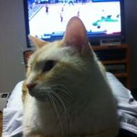 🇮🇹🇺🇸Dr. Paul Kersey🇮🇹🇺🇸 (@pkerseydw) 's Twitter Profile Photo
