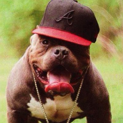 austintrahan1's profile picture. kik mr.fast_runner snapchat mcgee_ twitter austinwaynetrahan instagram i.austintrahan