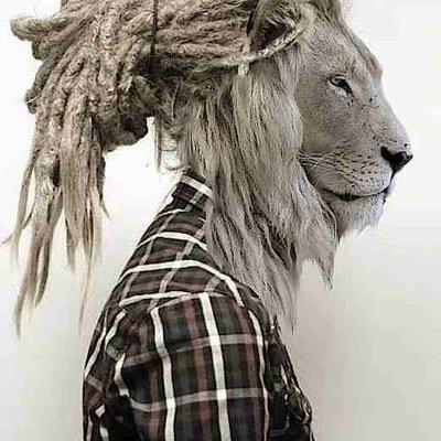 MickeyTakerABTM's profile picture. #HBK. ABTM IS THE BRAND