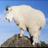 PRCGlobal's profile image
