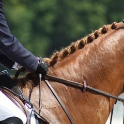 PelhamsNPrada's profile picture. 