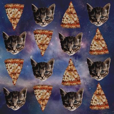 Pizza Cat your favourate ibiza rep!
All cred goes to ibiza weekender itv2