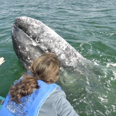 profgal12's profile picture. Runner, pizza eater, teacher, friend