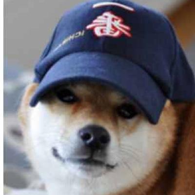 griffff201's profile picture. 