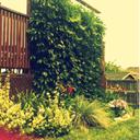 Sierra♥Schmidt - @Sierra_Schmidt - Twitter