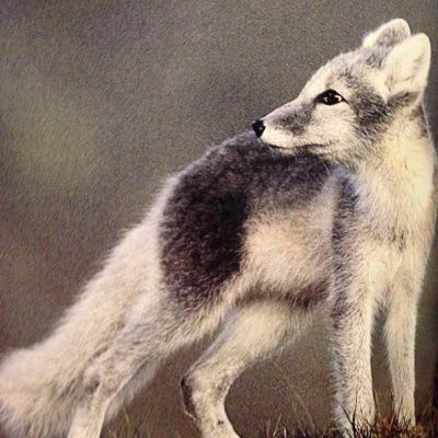 WisdomUknown's profile picture. Love all else as it is all part of you, and you part of it all