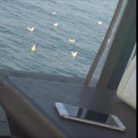 استغفر الله (@quickvbn14) 's Twitter Profile