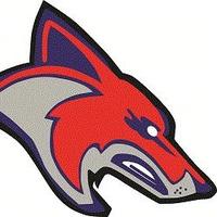 Coyote Baseball (@ccoyotebaseball) Twitter profile photo